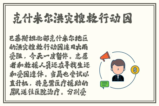 国产无遮挡又黄又爽在线观看